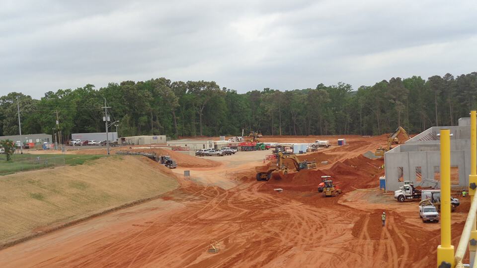 DollarGen-BaldEagle3