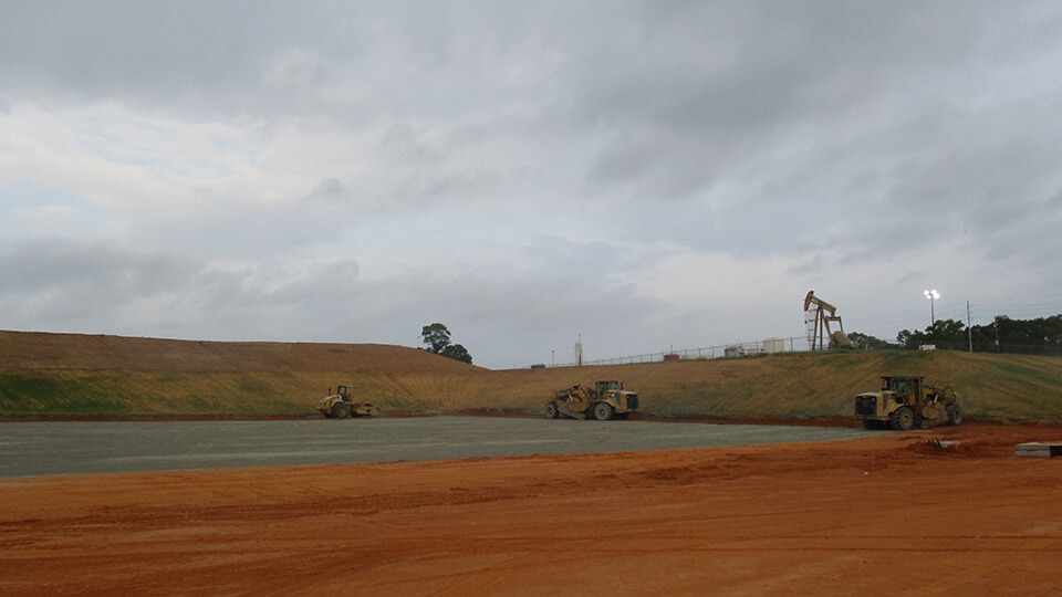 DollarGen-BaldEagle4